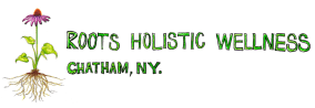 Roots Holistic Wellness Chatham NY
